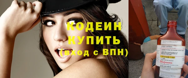 крисы Бородино