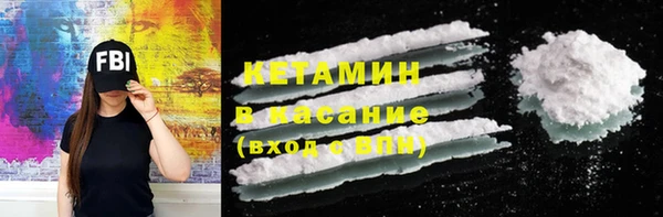 крисы Бородино