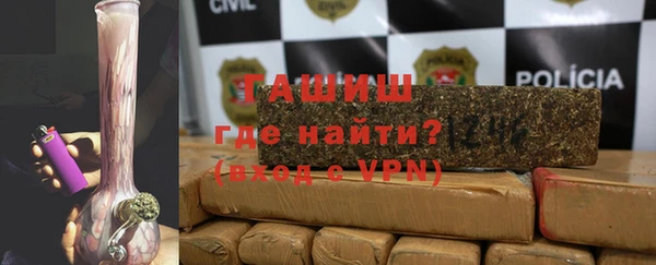 крисы Бородино