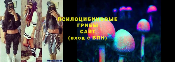 герыч Бронницы