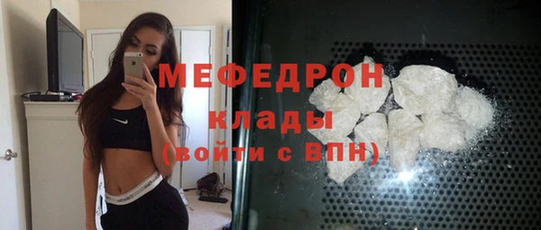 крисы Бородино