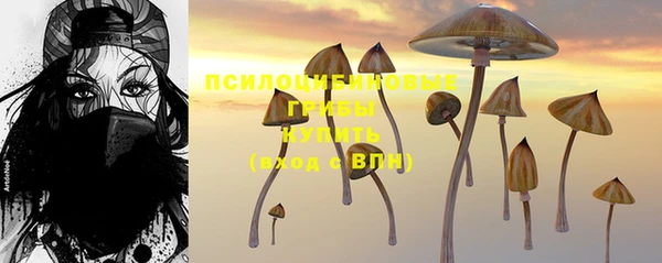 крисы Бородино
