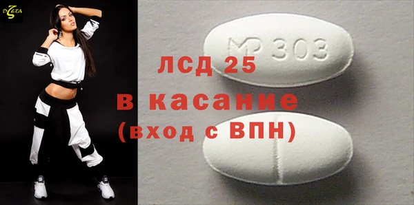крисы Бородино