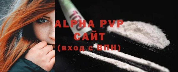 крисы Бородино