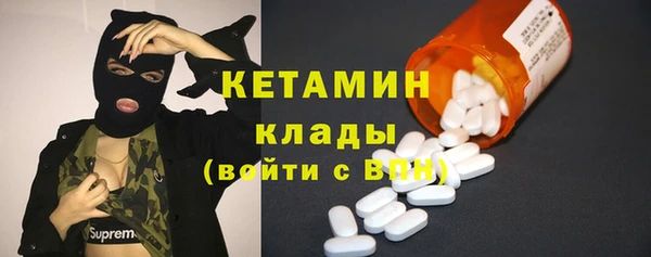 крисы Бородино