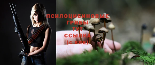 герыч Бронницы