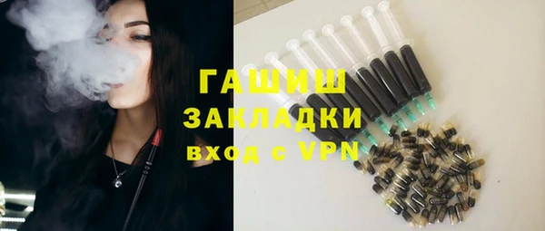 крисы Бородино