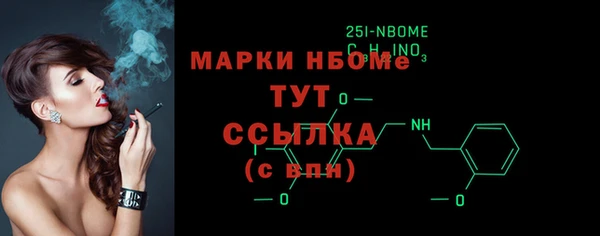 крисы Бородино