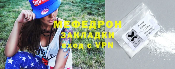крисы Бородино