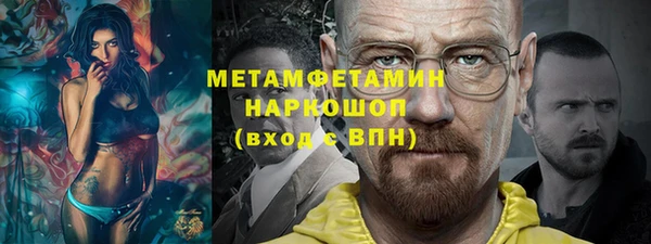 крисы Бородино