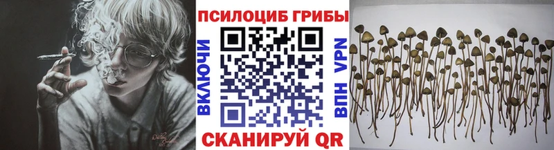Купить где Вилюйск Галлюциногенные грибы MAGIC MUSHROOMS