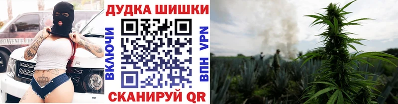 Купить  Вилюйск  Конопля Bruce Banner 